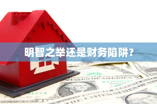 新洲明智之举还是财务陷阱？