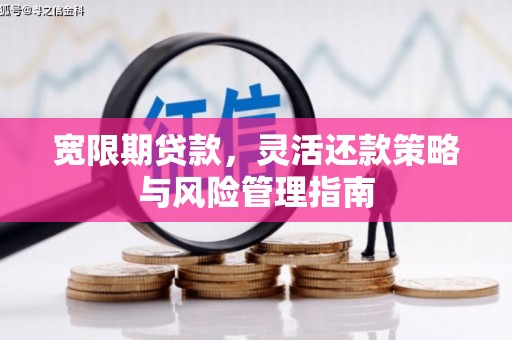 通海宽限期贷款，灵活还款策略与风险管理指南