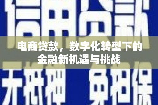 梧州电商贷款，数字化转型下的金融新机遇与挑战