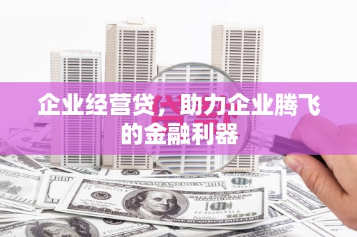 稻城企业经营贷，助力企业腾飞的金融利器