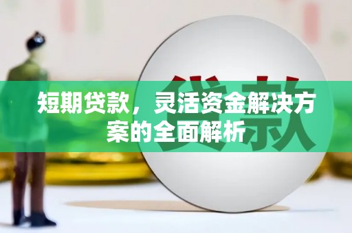 金寨短期贷款，灵活资金解决方案的全面解析