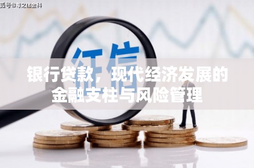 全椒银行贷款，现代经济发展的金融支柱与风险管理