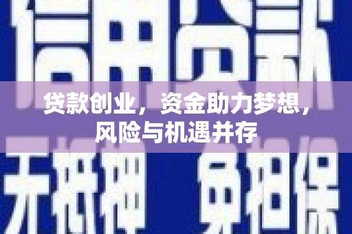 镇雄贷款创业，资金助力梦想，风险与机遇并存