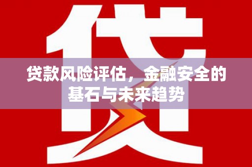 大洼贷款风险评估，金融安全的基石与未来趋势