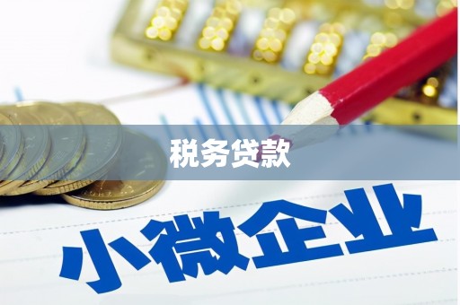 兴宾税务贷款