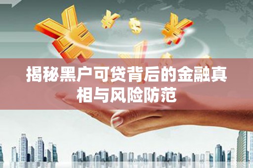 石冈揭秘黑户可贷背后的金融真相与风险防范