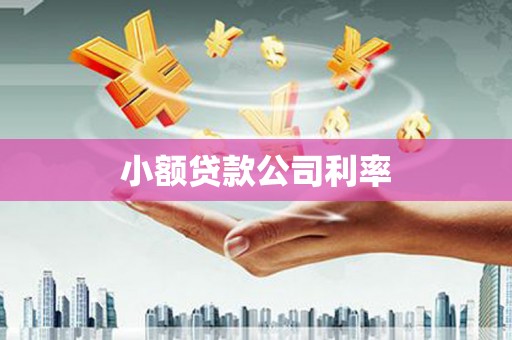 韩城小额贷款公司利率