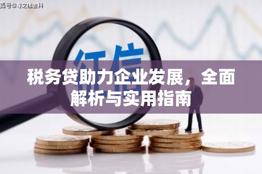 邗江税务贷助力企业发展，全面解析与实用指南