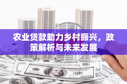 红塔农业贷款助力乡村振兴，政策解析与未来发展