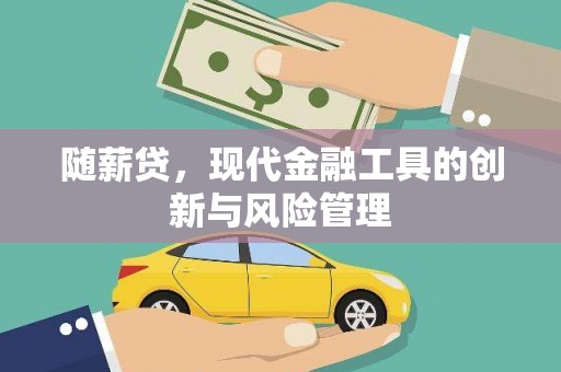 黔东南随薪贷，现代金融工具的创新与风险管理
