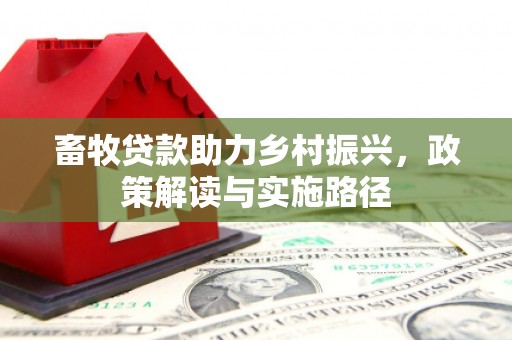 云梦畜牧贷款助力乡村振兴，政策解读与实施路径