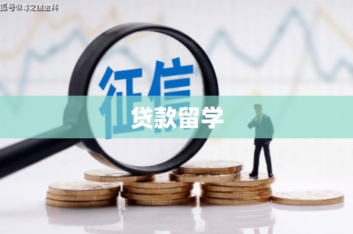 禄丰贷款留学