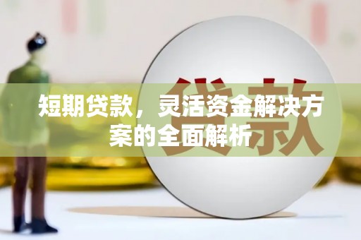 泗阳短期贷款，灵活资金解决方案的全面解析