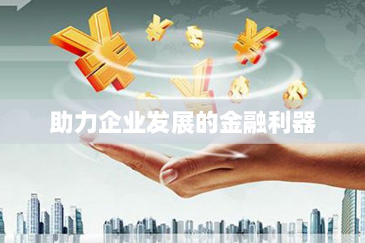 白山助力企业发展的金融利器