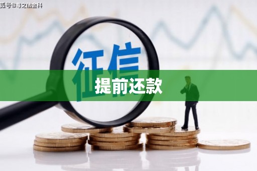 大溪提前还款