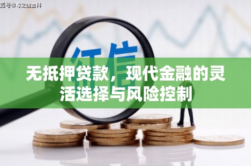 新蔡无抵押贷款，现代金融的灵活选择与风险控制