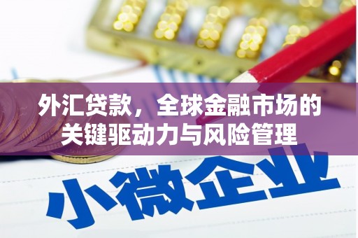 沙湾外汇贷款，全球金融市场的关键驱动力与风险管理