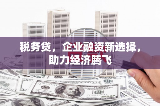 安南税务贷，企业融资新选择，助力经济腾飞