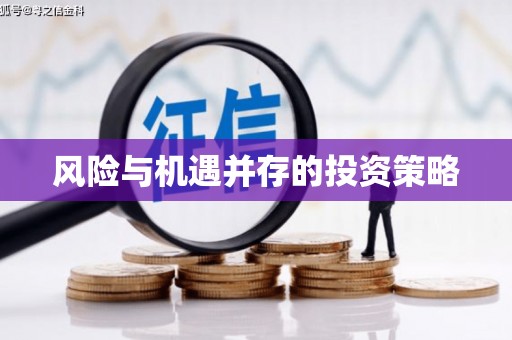 茄子河风险与机遇并存的投资策略