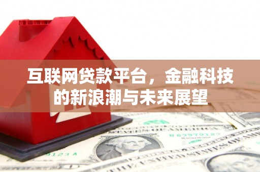 洋县互联网贷款平台，金融科技的新浪潮与未来展望