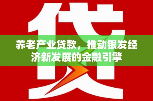 项城养老产业贷款，推动银发经济新发展的金融引擎