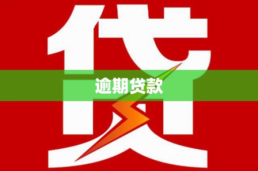 洋县逾期贷款