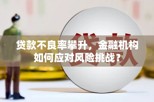 鄱阳贷款不良率攀升，金融机构如何应对风险挑战？