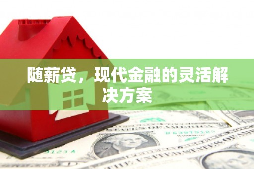 新蔡随薪贷，现代金融的灵活解决方案