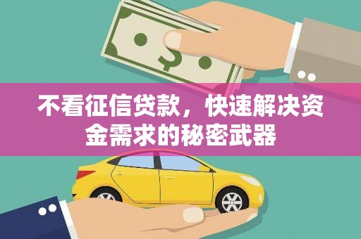 无极不看征信贷款，快速解决资金需求的秘密武器