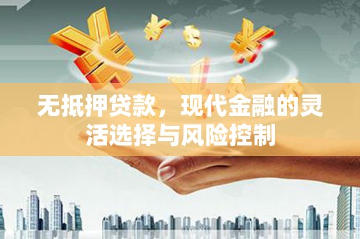乡城无抵押贷款，现代金融的灵活选择与风险控制
