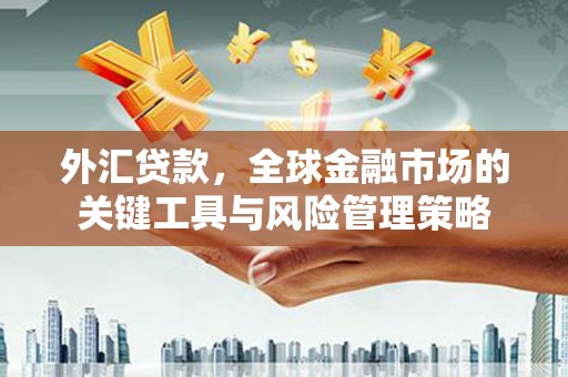 海港外汇贷款，全球金融市场的关键工具与风险管理策略