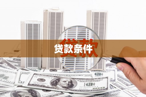 九原贷款条件