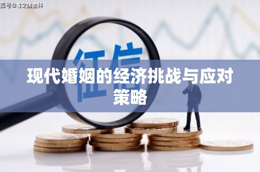 龙湖现代婚姻的经济挑战与应对策略