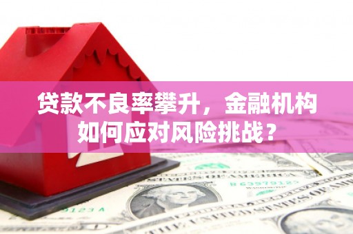 铁西贷款不良率攀升，金融机构如何应对风险挑战？