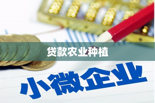 坡头贷款农业种植