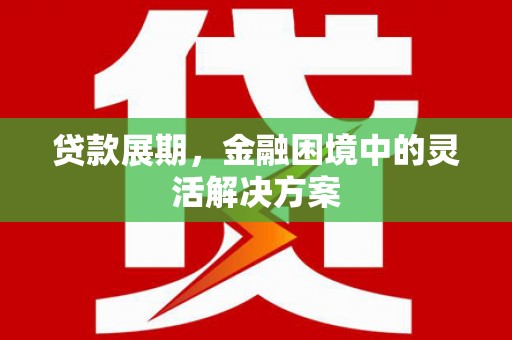 龙岗贷款展期，金融困境中的灵活解决方案