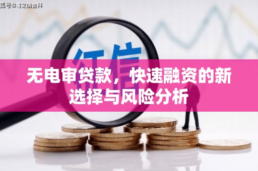 柳南无电审贷款，快速融资的新选择与风险分析