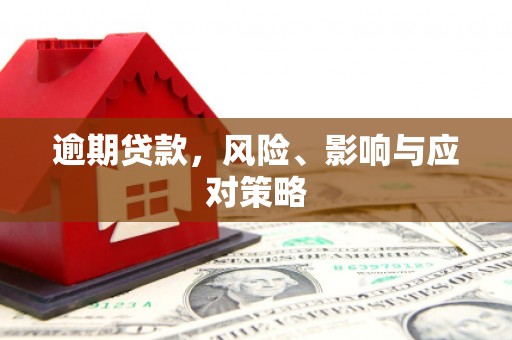 杉林逾期贷款，风险、影响与应对策略