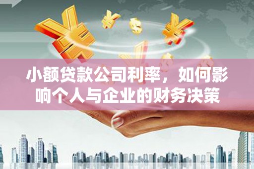 西峡小额贷款公司利率，如何影响个人与企业的财务决策
