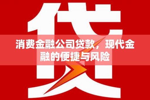 宜黄消费金融公司贷款，现代金融的便捷与风险