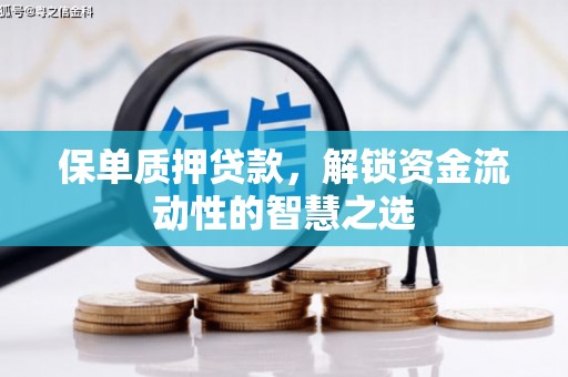 黑水保单质押贷款，解锁资金流动性的智慧之选