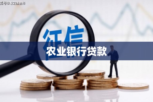 张北农业银行贷款
