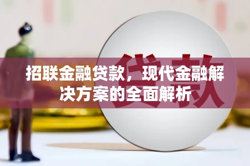善化招联金融贷款，现代金融解决方案的全面解析