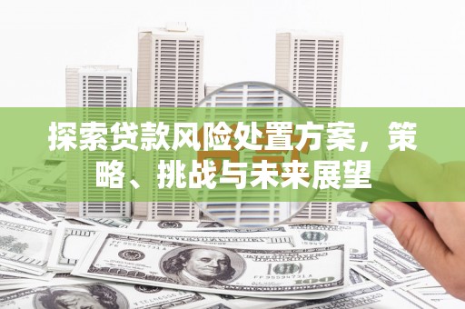 官渡探索贷款风险处置方案，策略、挑战与未来展望
