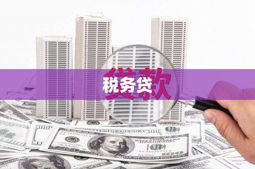 孝昌税务贷