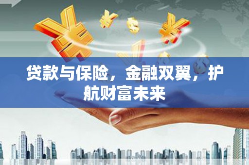 云和贷款与保险，金融双翼，护航财富未来