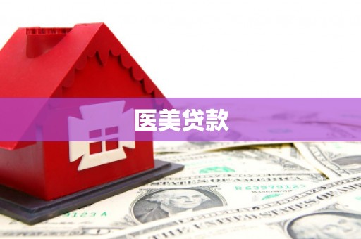 高安医美贷款