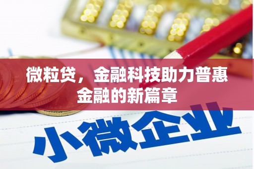 文圣微粒贷，金融科技助力普惠金融的新篇章