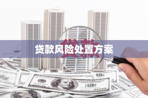 舞钢贷款风险处置方案