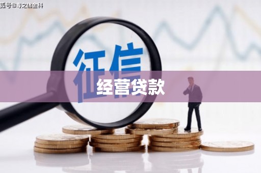 新社经营贷款